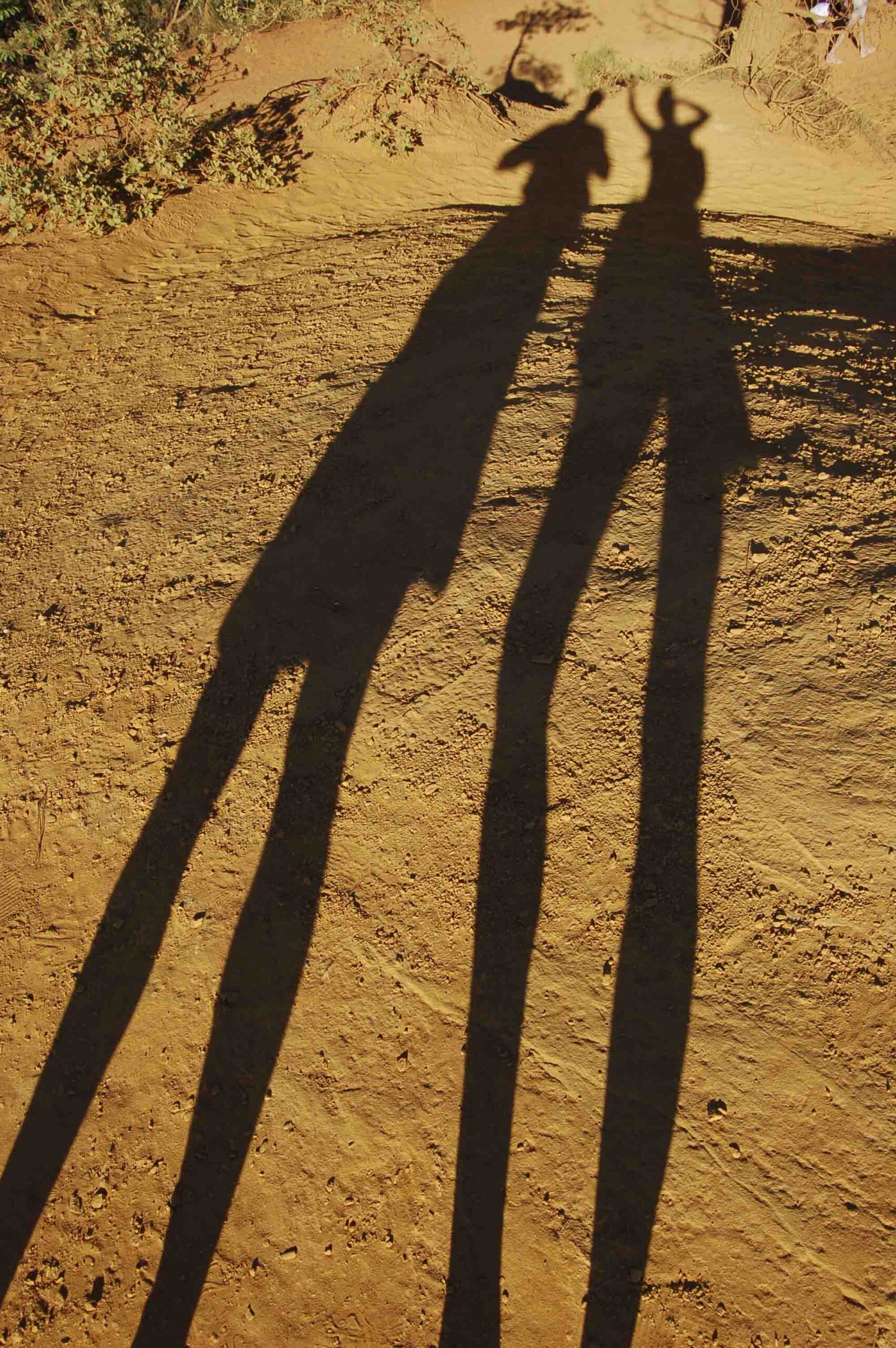ombre sur terre ocre vaucluse