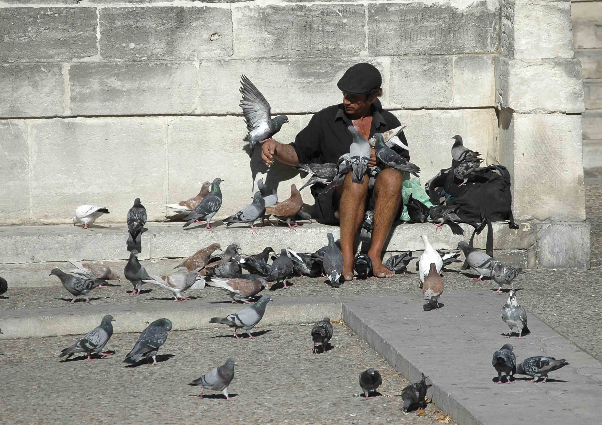 sdf cite des papes avignon