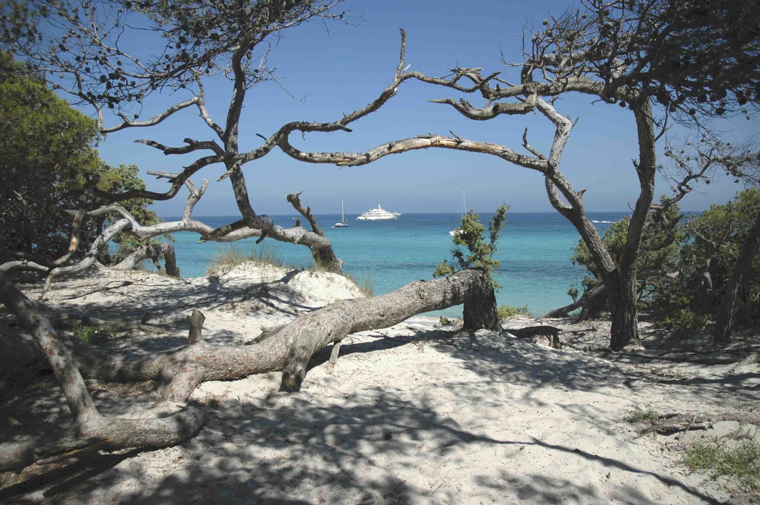 plage saleccia corse