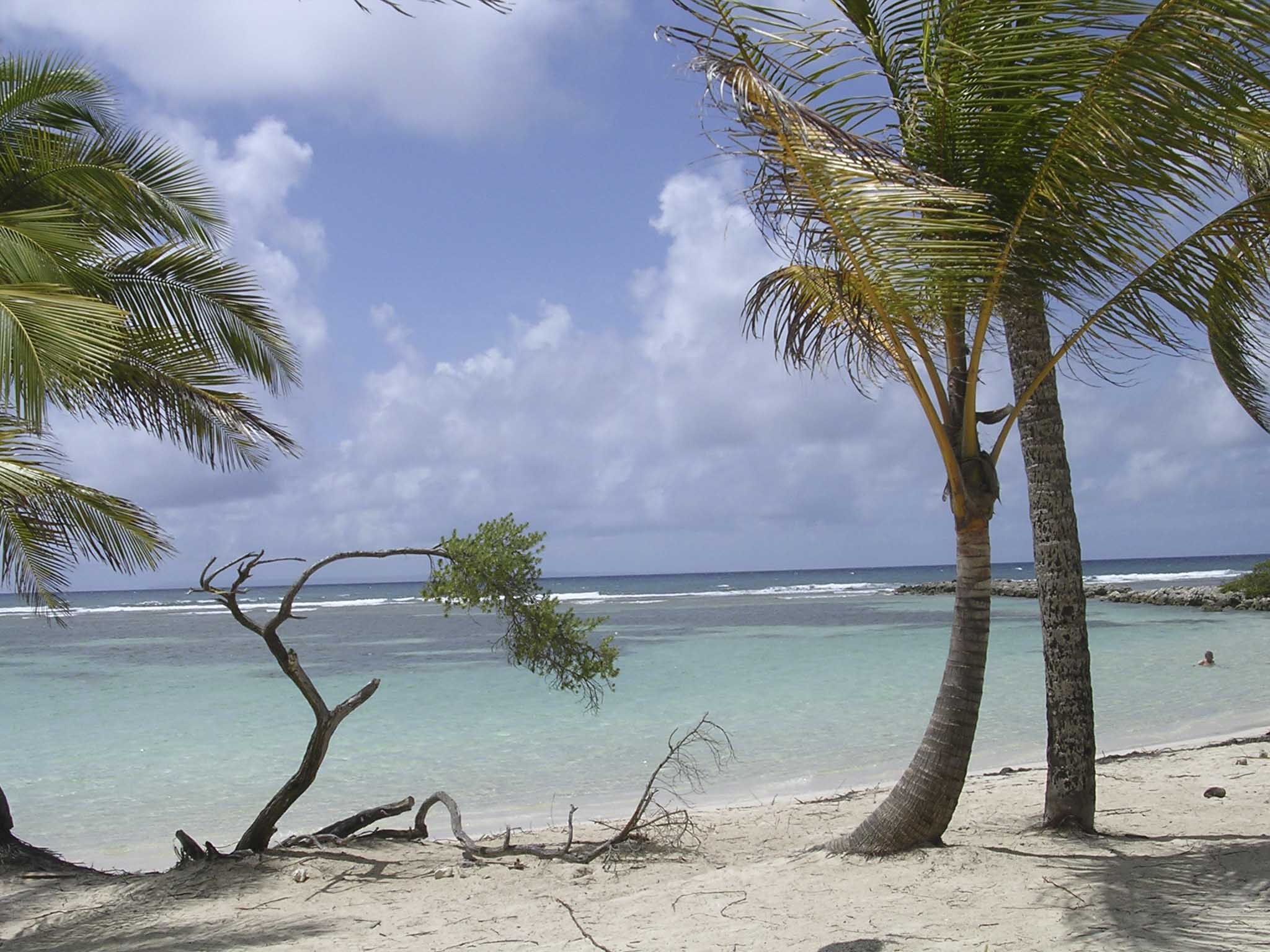 plage guadeloupe