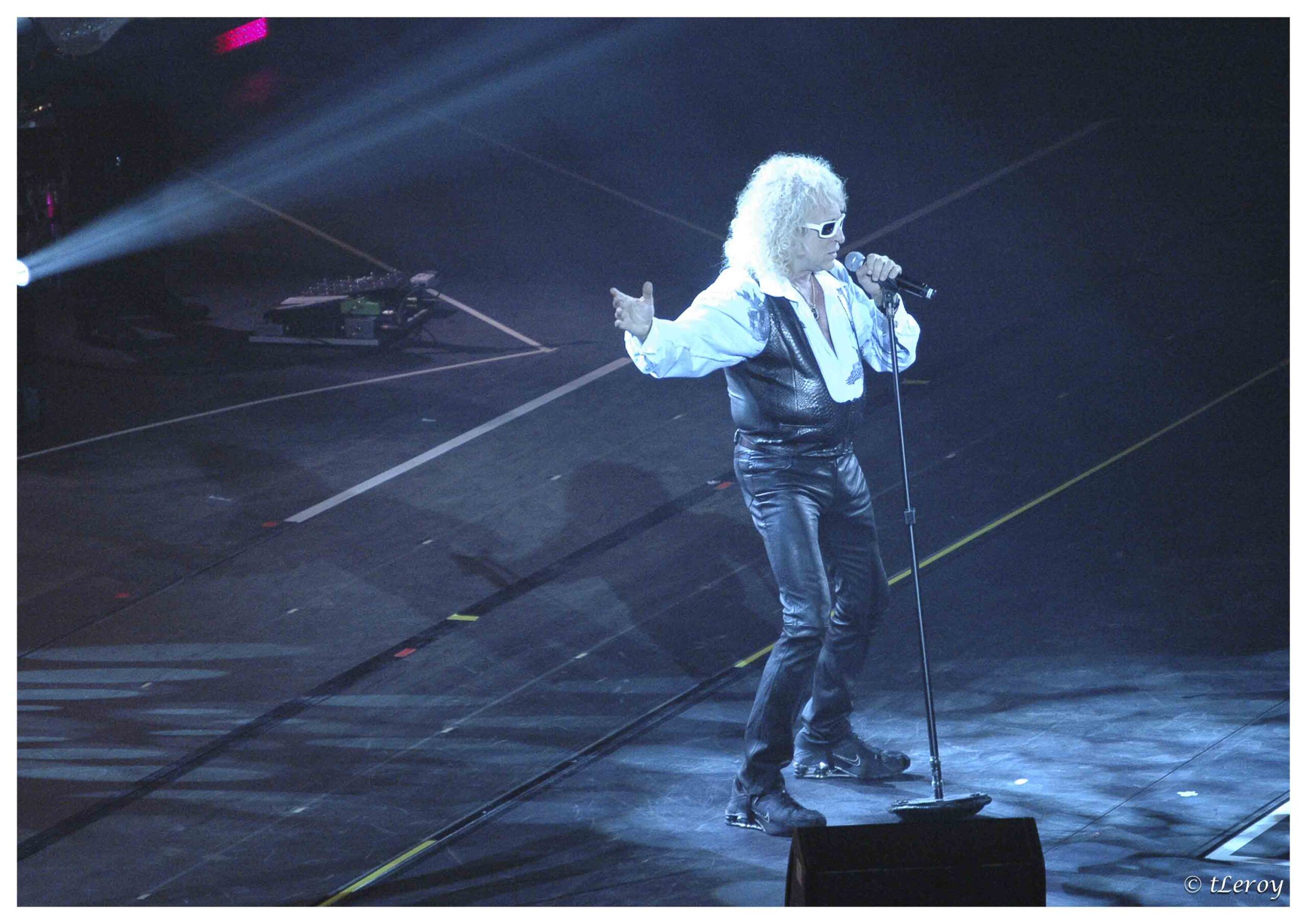 michel polnareff